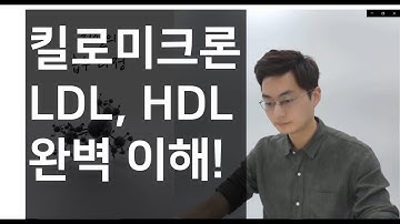 지질의 흡수과정 킬로미크론 HDL LDL VLDL