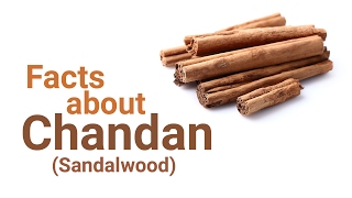 Indian sandalwood (chandan) is not only adored by devotees, it was
also believed to be favored gods and goddess. know more about the
sacred plant called s...