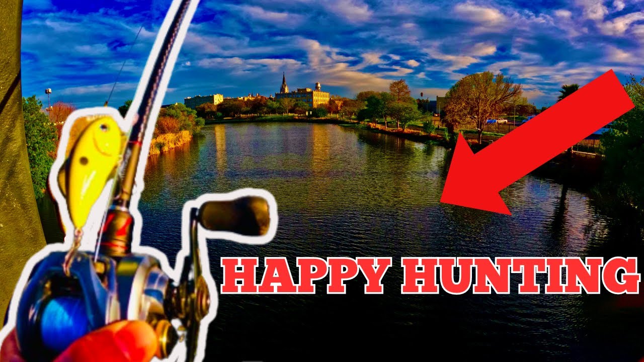 FISHING San Antonio’s MOST PRESSURED Lake EASY #fishing #bassfishing #fishingtips