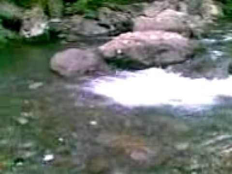 სამეგრელოში