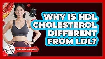 Why Is HDL Cholesterol Different From LDL? - Cholesterol Support Network