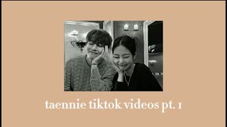 Taennie tiktok compilation pt. 01 | vjen
