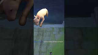 What the dog doin? | Dota 2 dog meme #dota2 #dota2clips #shorts #funny