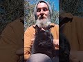 MEET THE FAMILY #2: MISCHA 😻#cat #inspiration #life #nature #motivation