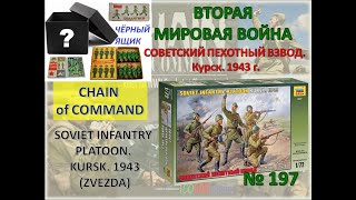 Советский пехотный взвод. Курск. 1943 год. The Soviet infantry platoon. Kursk. 1943 (