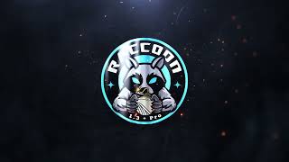 Raccoon Fireworks 1.4G Pro RA143037--Straight whistling to thunder( Instant)