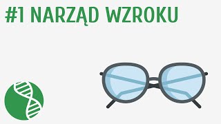 Narząd wzroku #1 [ Skóra i zmysły ]