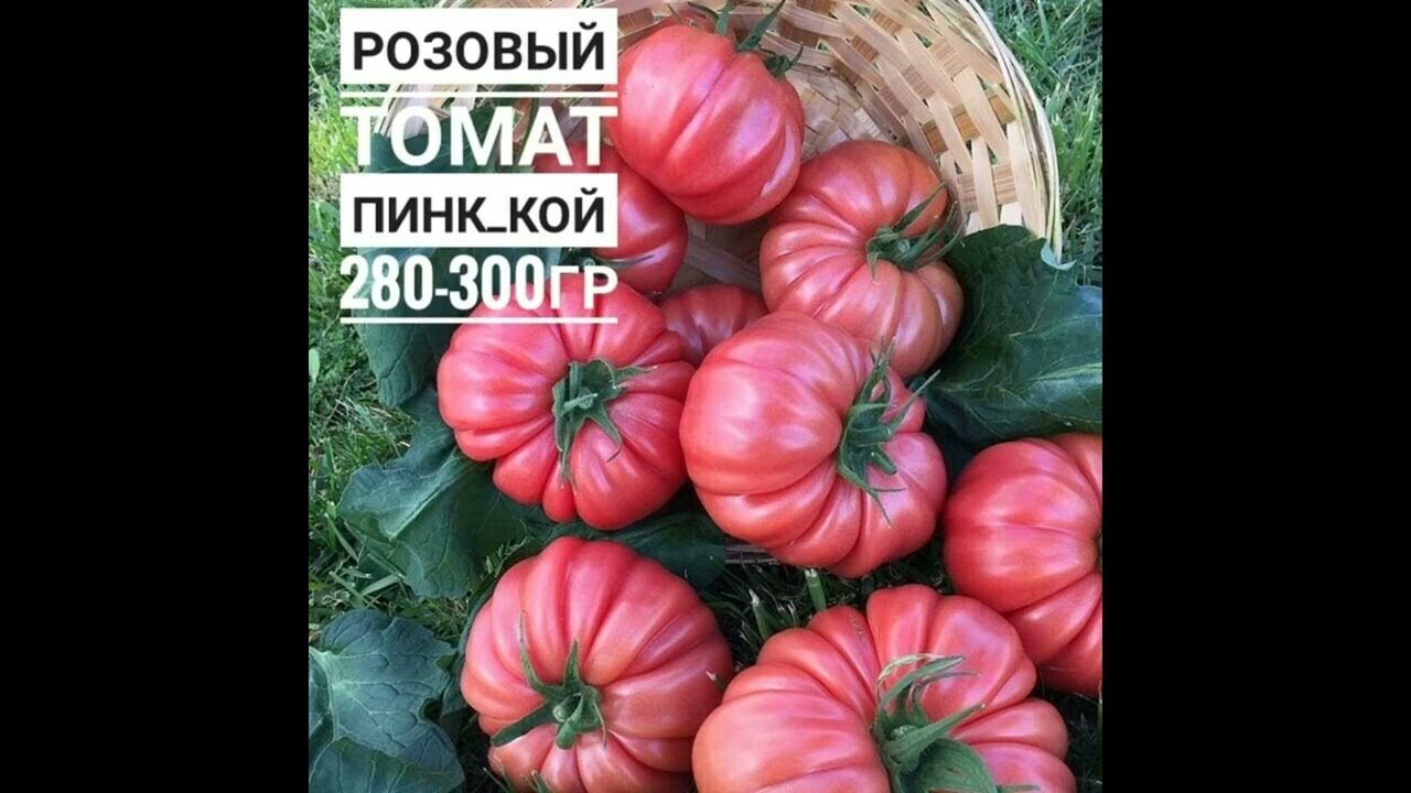 Томаты Редкие семена Профессиональные овощей_КМВ_НФ-00012544_темно-розовый - куп