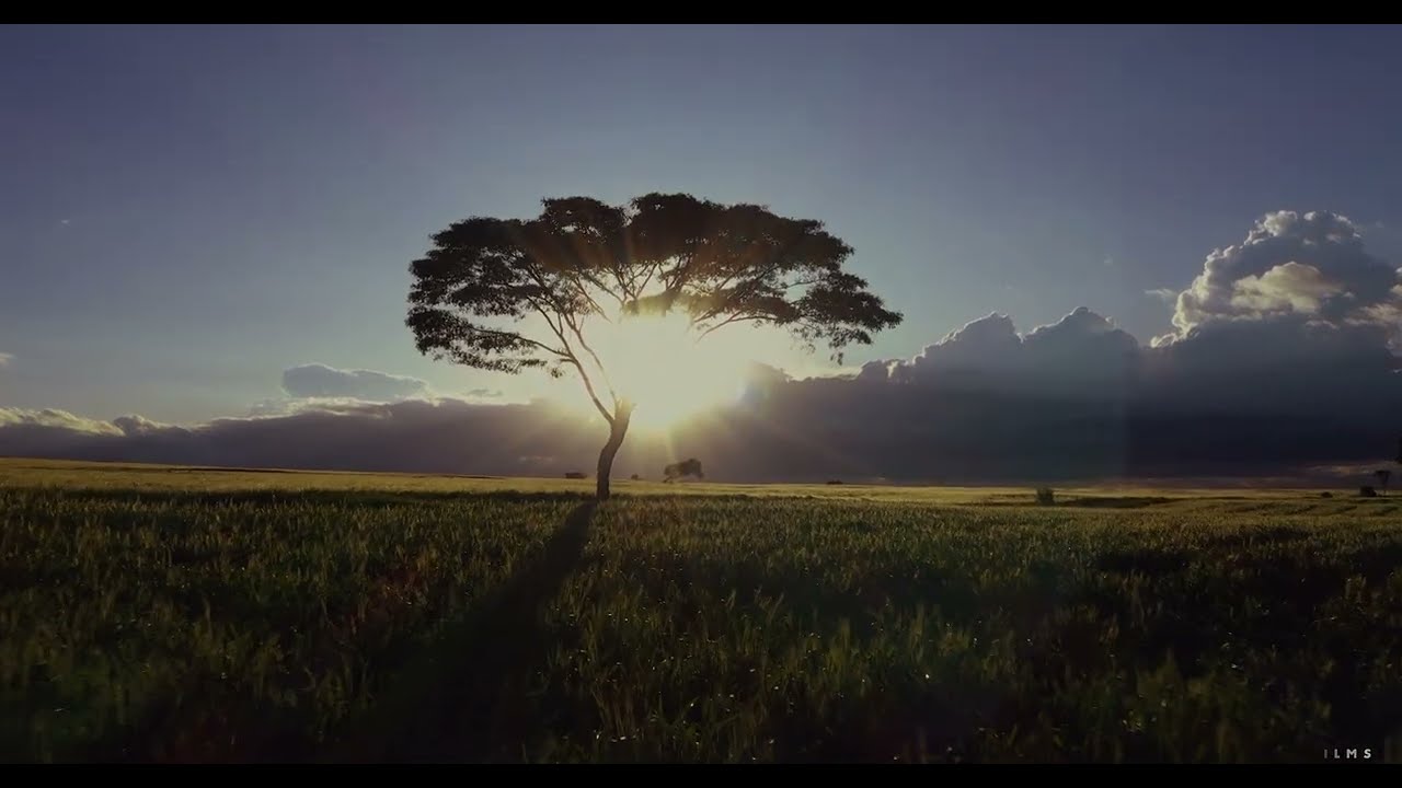 2024 from Above: Stunning Drone Shots You Can’t Miss!#drone #dronevideo