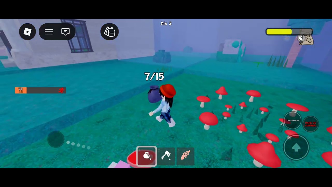 11 de janeiro de 2026