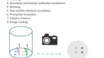 Multiplex Immunoassay Technology