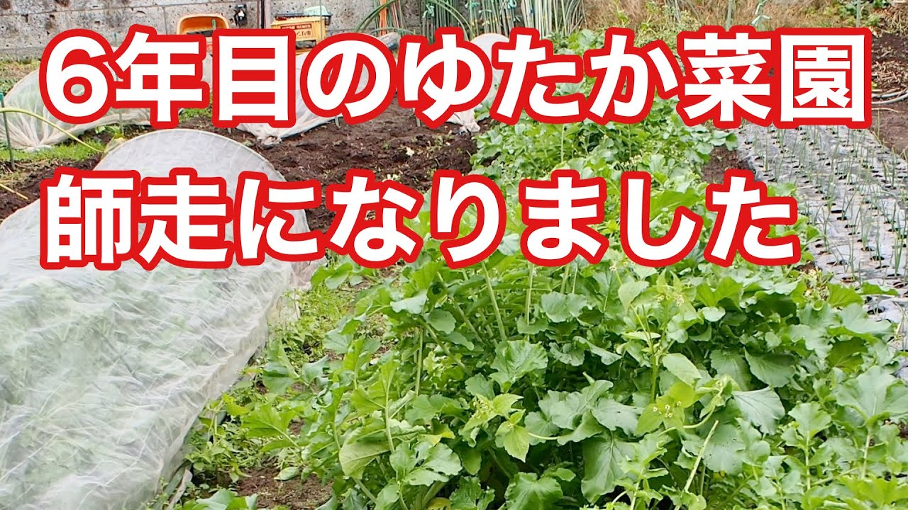 084_6年目のゆたか菜園も師走になりました。 The 6th year of the yutaka vegetable garden has ...