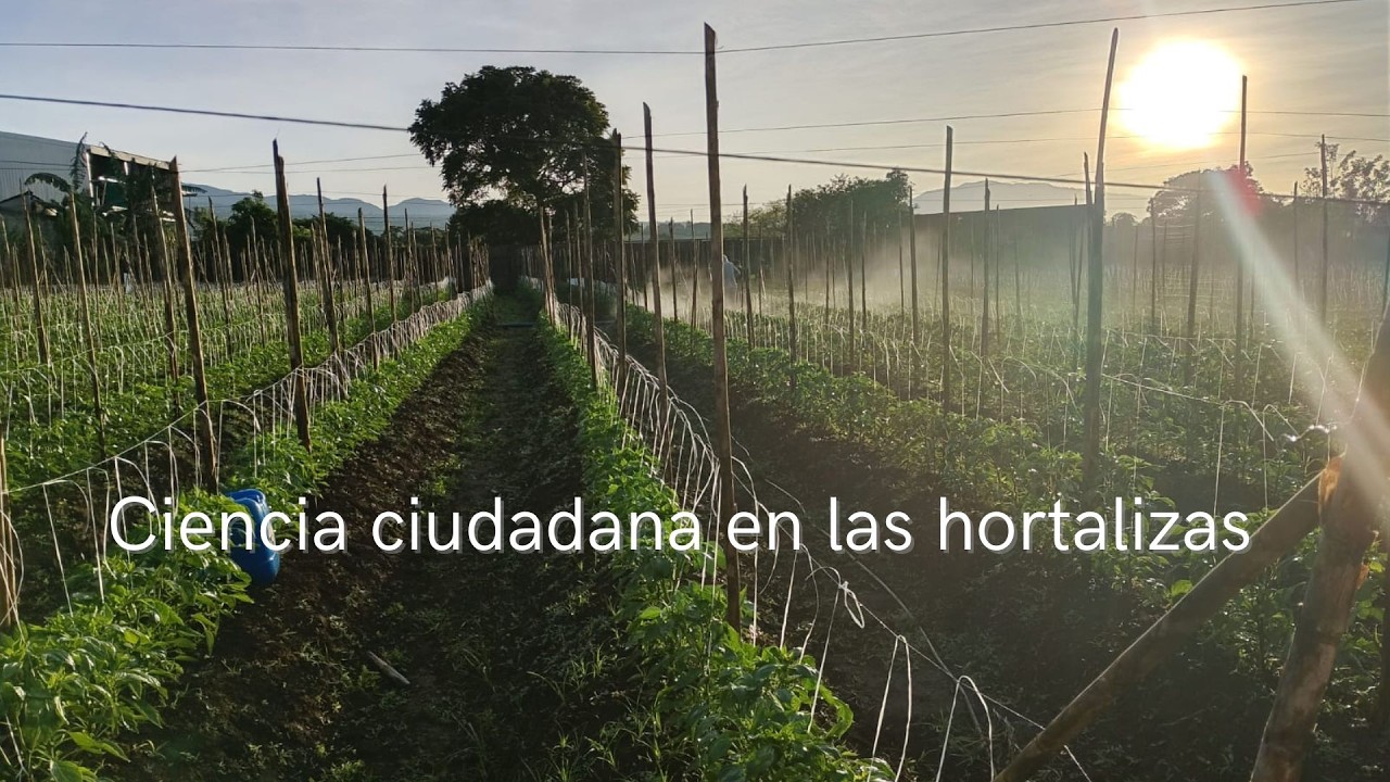 CIENCIA CIUDADANA EN LAS HORTALIZAS