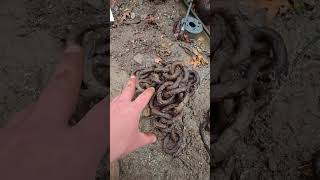 Famous Lets see what what we can find this morning.  #fyp #treasure #junkyard #scrap #tools Profile