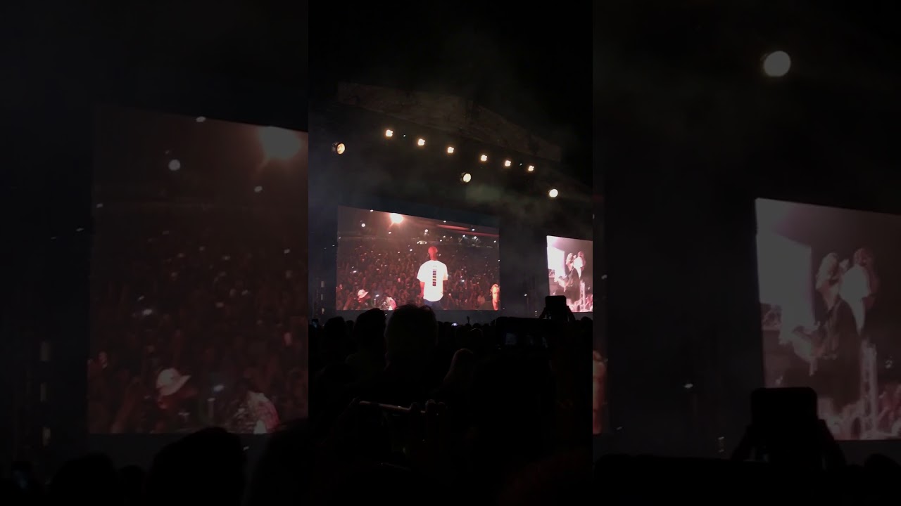 Frank ocean // self control live @ fyf fest 2017