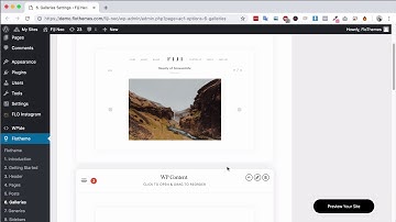 Fiji Settings - Global Gallery Settings
