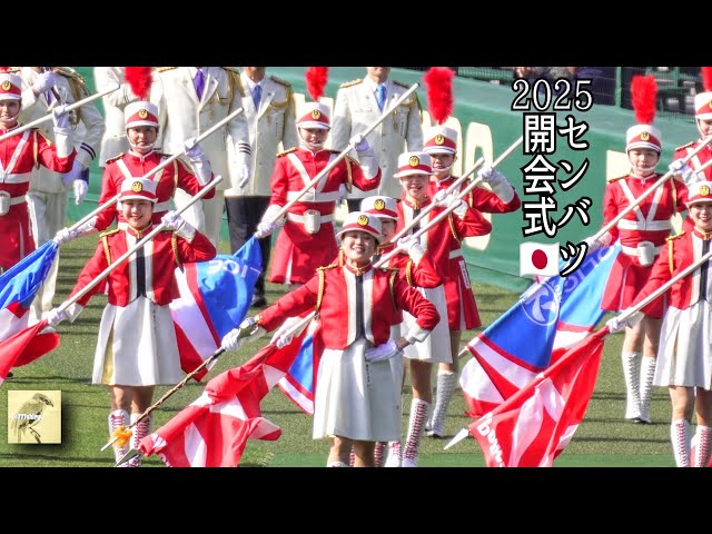 甲子園 センバツ2025】第97回選抜高校野球⚾️開会式②選手入場行進🎌カラー