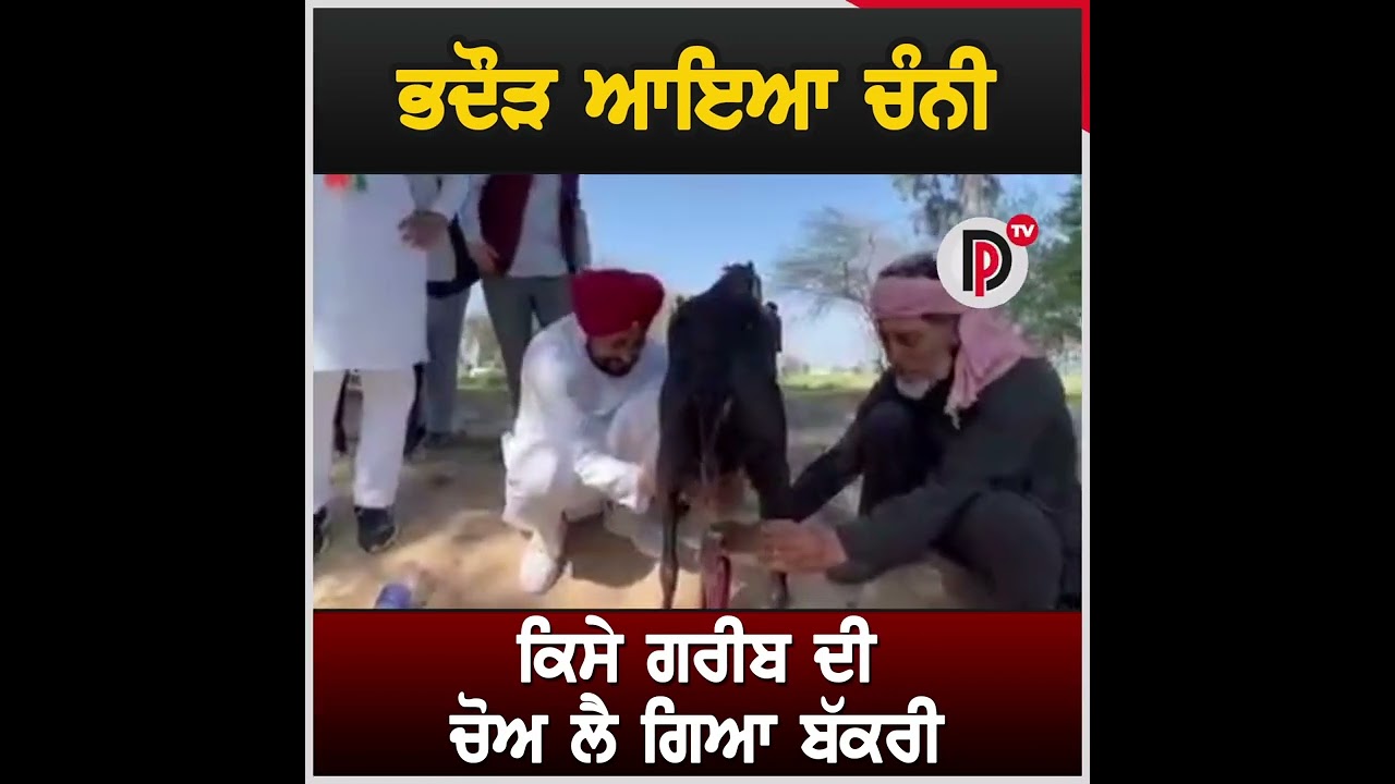 ਭਦੌੜ ਆਇਆ ਚੰਨੀ ਕਿਸੇ ਗਰੀਬ ਦੀ ਚੋਅ ਲੈ ਗਿਆ ਬੱਕਰੀ