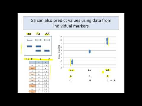 Genomic Selection Module 2.0a - What is Genomic Selection?