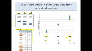 Genomic Selection Module 2.0a - What is Genomic Selection?