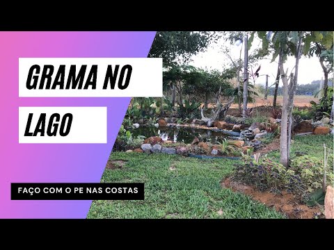 Como plantar, e