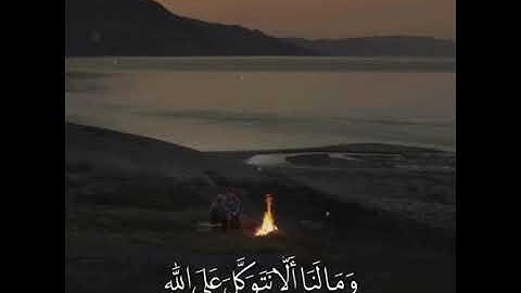 القران الكريم / صوت جميل / تلاوة خاشعة / حالات واتساب دينية