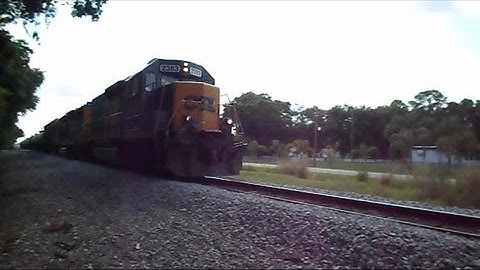CSX Trains Run Over Dead Turtles