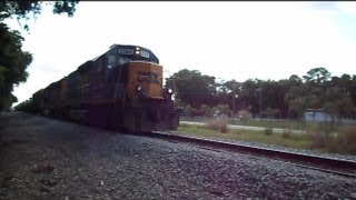 CSX Trains Run Over Dead Turtles
