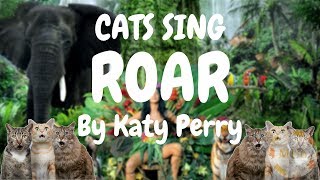 Cats Sing Roar by Katy Perry | Cats Singing Song