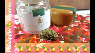"The 2BB" Fast Review of Pineapple Express by Legacy Organics