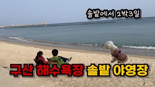 구산해수욕장야영장/동해바닷가 솔밭야영장에서 반려견과 2박3일 동안 즐거웠던 캠핑 이야기