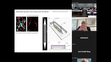 Flow, transport and mixing limited (bio-)processes in confined & heterogeneous media (Pietro DeAnna)