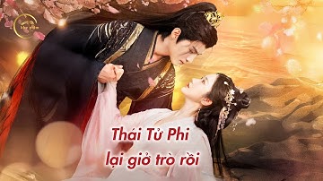 Review Phim: Thái Tử Phi Lại Giở Trò Rồi || Phim cổ trang Trung Quốc || Kho phim review