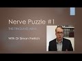 Nerve Puzzle 1 - The Tingling Arm - The Neurophysiology assessment of Carpal Tunnel Syndrome