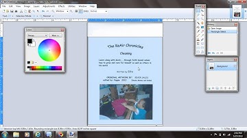Using Paint.net To Crop A Picture