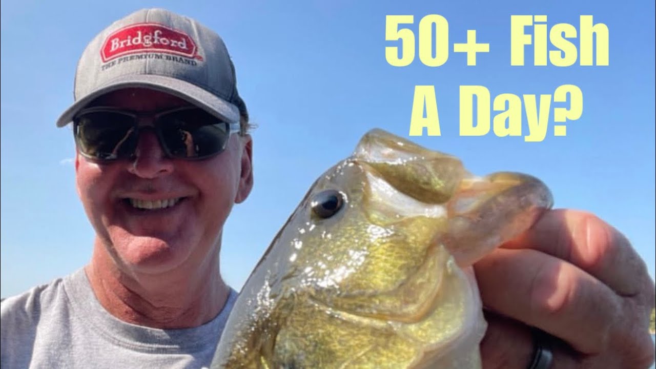 The Lure That Produces The Most Bass…(You Guys Won’t Guess This One