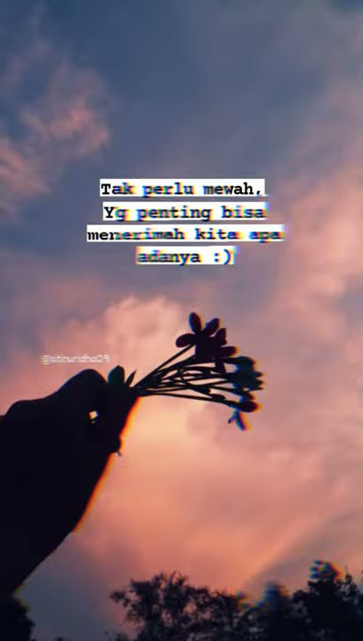story wa || menerima apa adanya