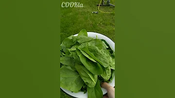 Как заморозить шпинат/How to freeze spinach
