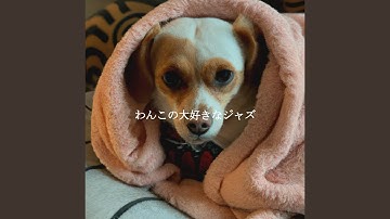 Sumptuous Ambience for Coffee Rewind