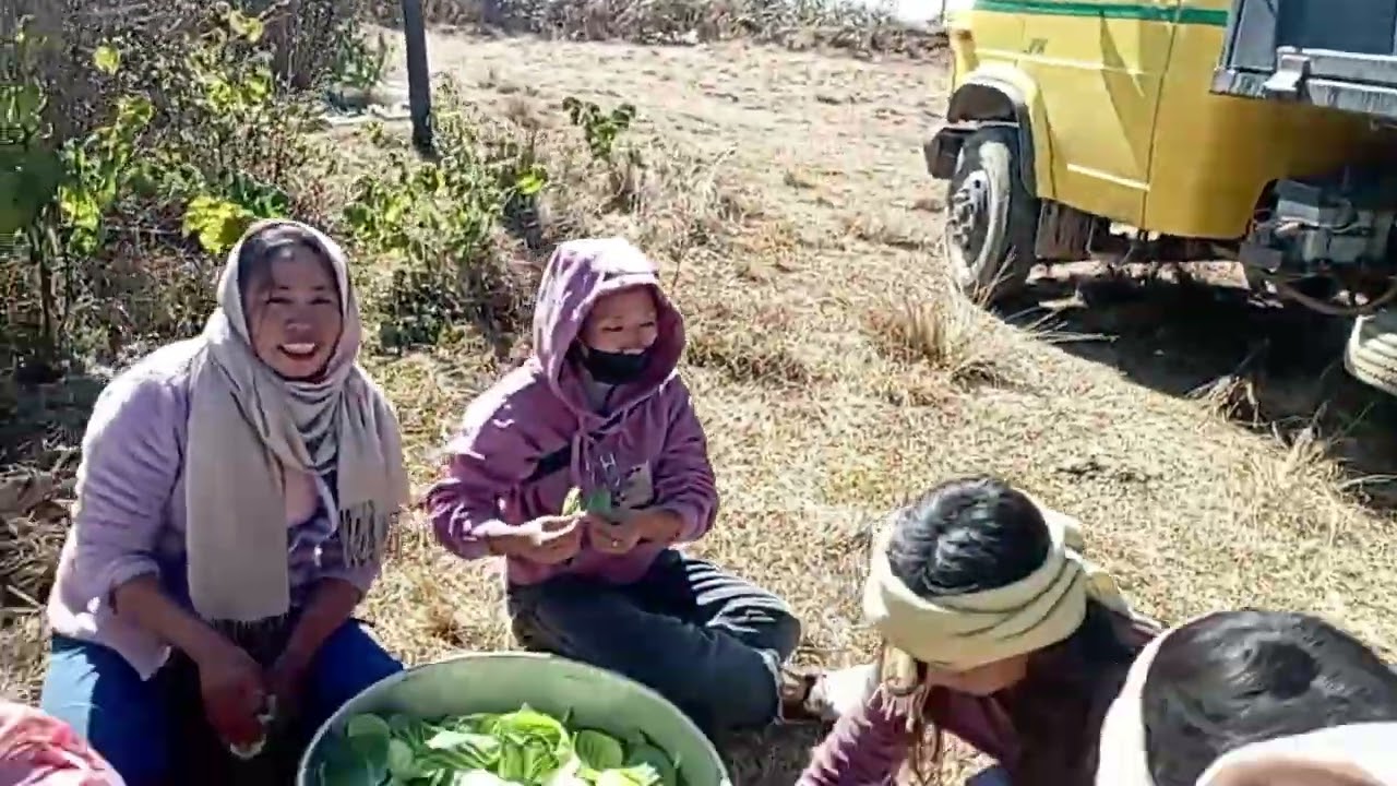 ZBYF picnic at Dziiduri Paomata 2025 Dec 29 Mon