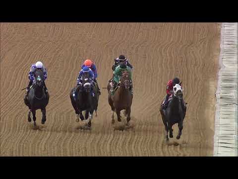 Race 1 Master 2023 10 18