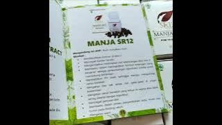 0852 16 111 567 #mengobatikeputihan #promil #haidtaklancar #mempersempitmissv #mengatasikeluhanhaid