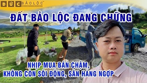 s209. Đất Bảo Lộc đang chững, không còn sốt nóng. Giá bình ổn, nđt đang săn hàng ngợp.