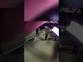 Man Arrested for Skateboarding in the Road #Shorts #ViralShorts #FYP #Bodycam #PoliceFootage #Arrest