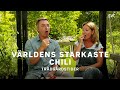 Programledarna äter världens starkaste chili | Trädgårdstider | SVT Play