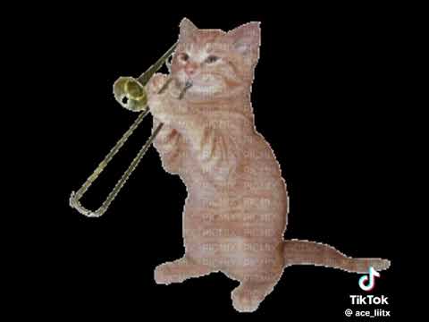 LEVANTENSE RINGTONE ALARM 