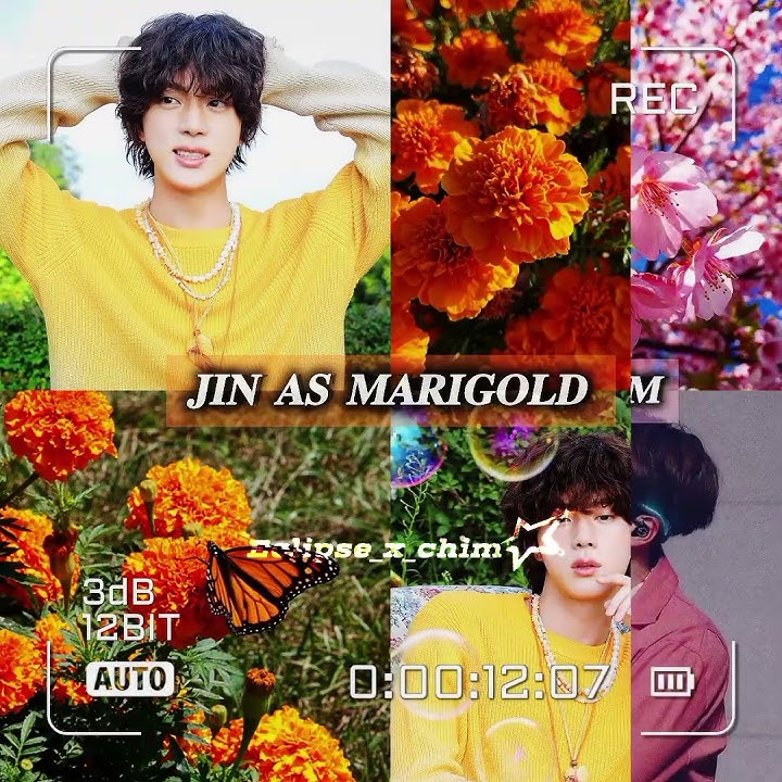𝐁𝐓𝐒 𝐚𝐬 𝐟𝐥𝐨𝐰𝐞𝐫𝐬..🥹💖💫 𝐜𝐫𝐞𝐝𝐢𝐭 𝐟𝐨𝐫 𝐭𝐡𝐞 𝐢𝐝𝐞𝐚 : @DarkXthetic7 💌 #bts #flowers #edit #fypシ #shorts