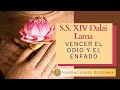 Vencer el Odio y el Enfado • Su Santidad el XIV Dalai Lama • ✔