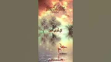 سورة الكهف- القارئ عبدالله الموسى (فَضَرَبْنَا عَلَىٰ آذَانِهِمْ فِي الْكَهْفِ سِنِينَ