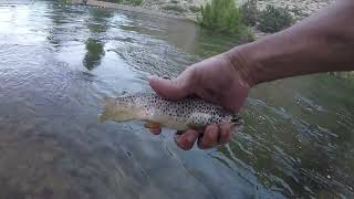 Killing Time at a Bishop Creek Hydro Plant (Bishop, CA)